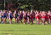 Milton quad meet